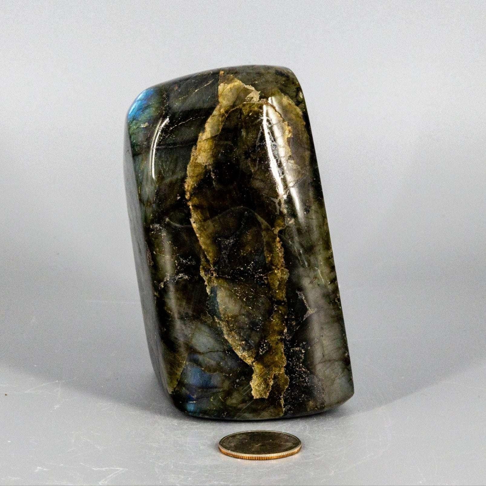 Labradorite XL High Flash Freeform | 1028g Collector Specimen