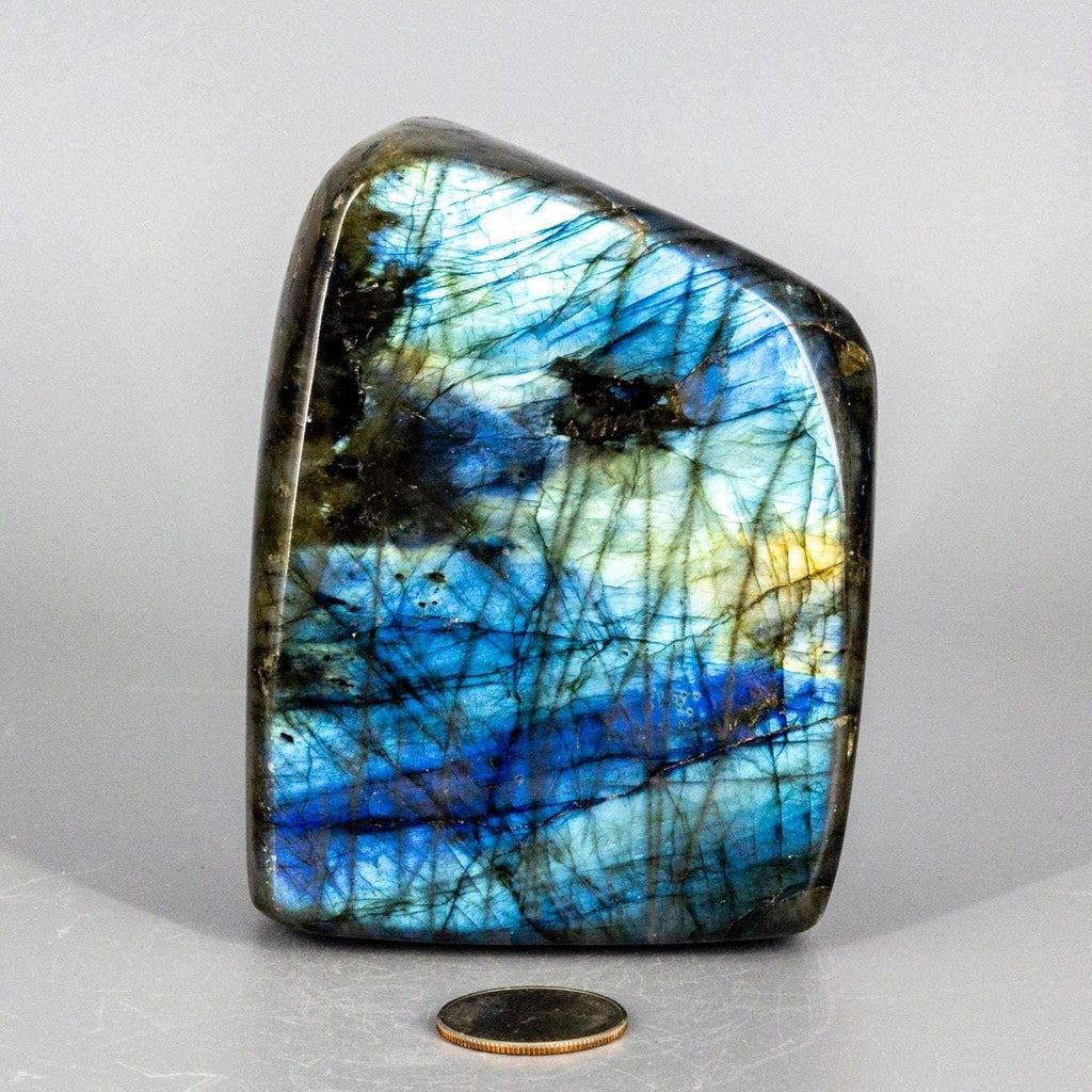 Labradorite XL High Flash Freeform | 1028g Collector Specimen