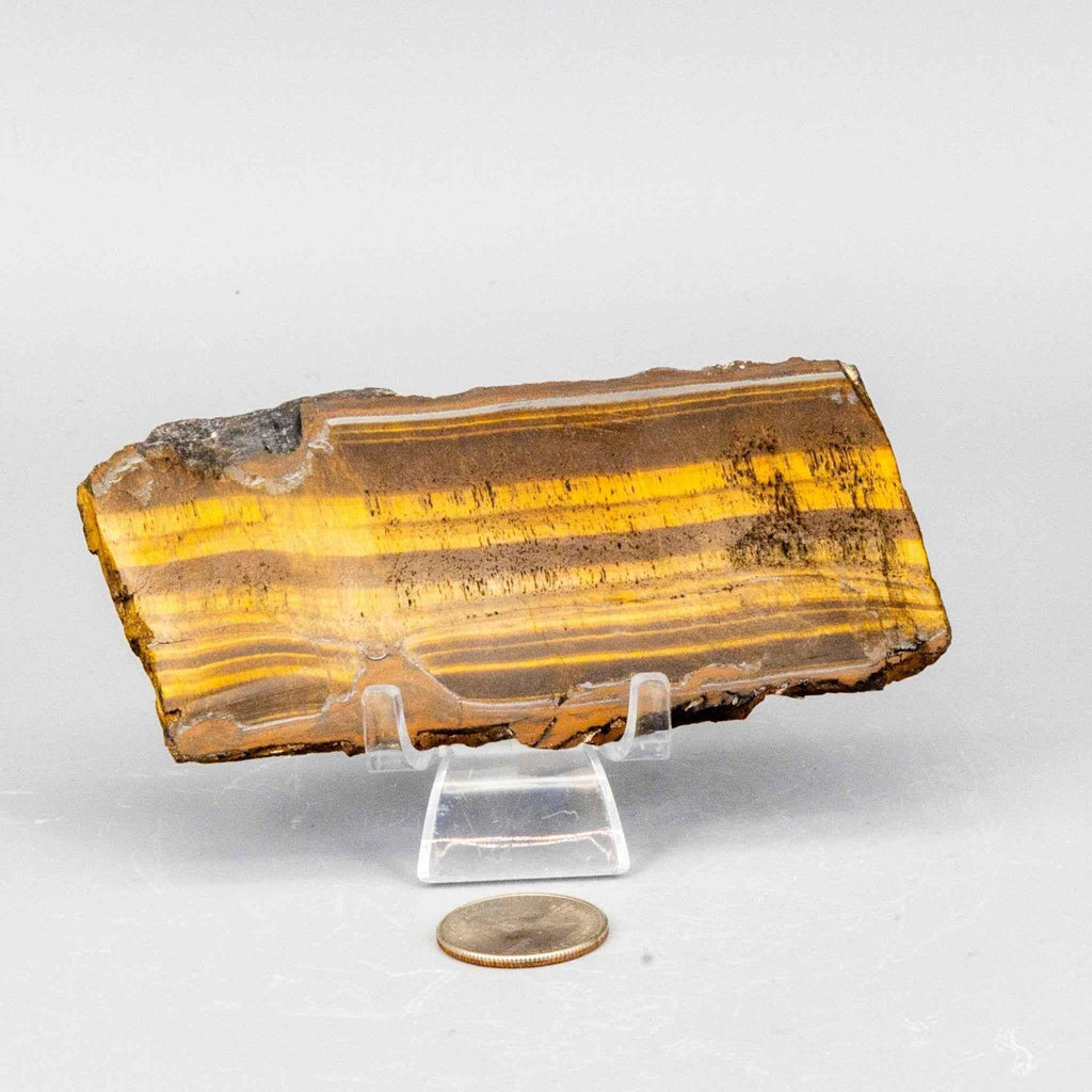 Tiger's Eye Polished Slices, Golden Healing Stone