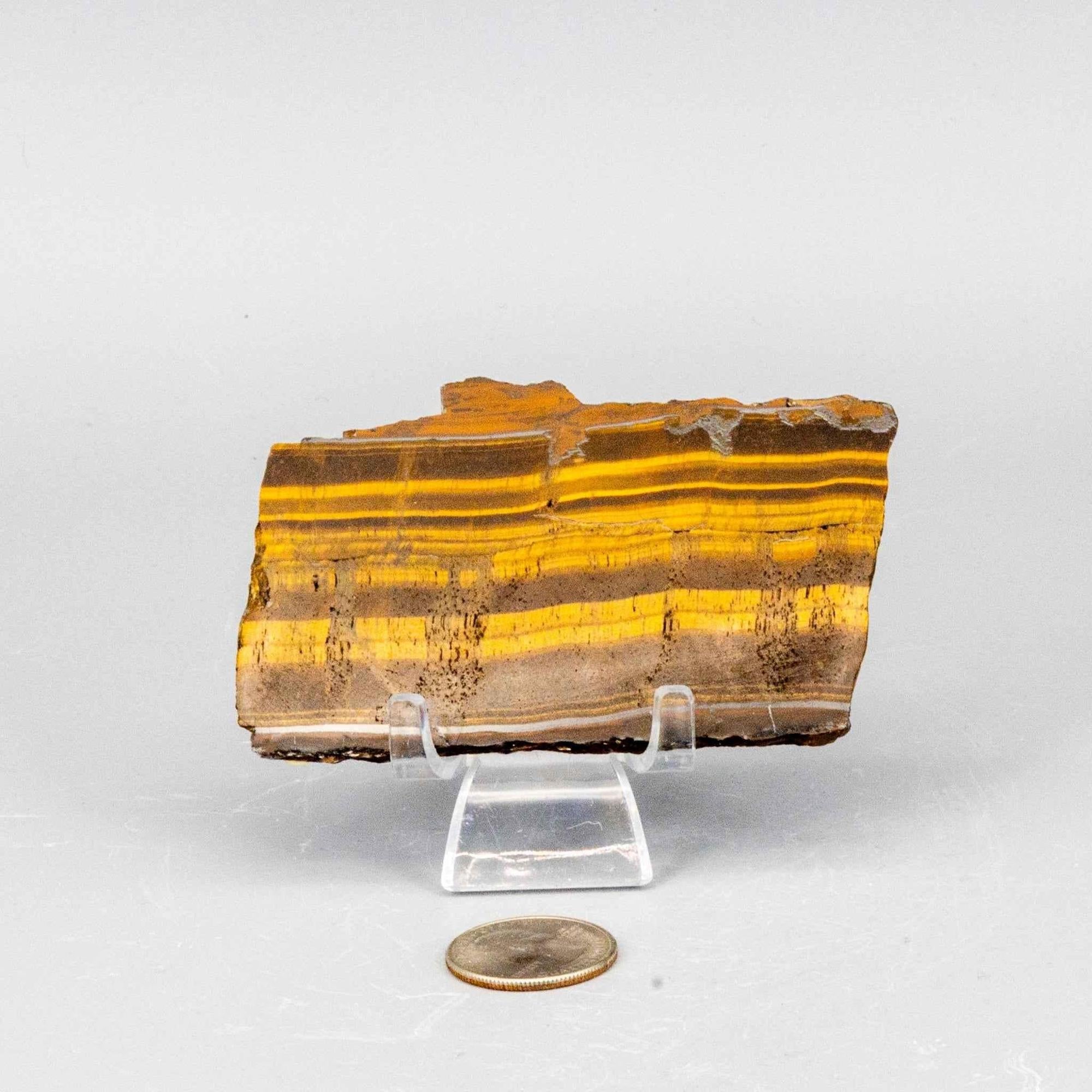 Tiger's Eye Polished Slices, Golden Healing Stone