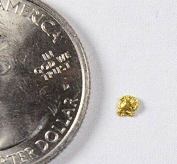 Alaskan Gold Nugget Genuine Yukon Small 22k .06g Fine